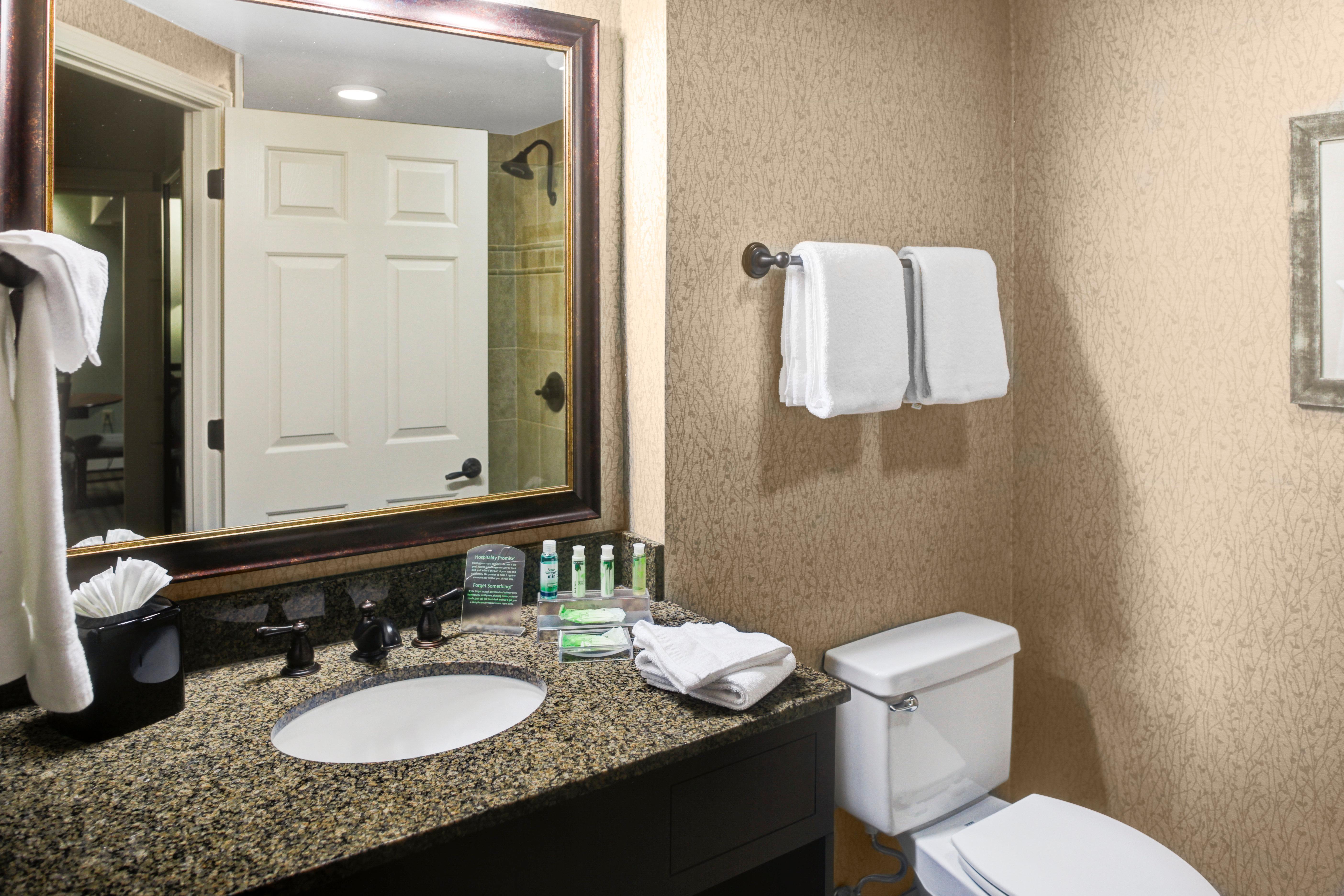 Holiday Inn Express Hotel & Suites Atlanta Buckhead By Ihg Eksteriør billede